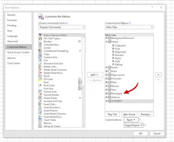 Comment déverrouiller l'onglet développeur caché dans Excel Excel Developer1