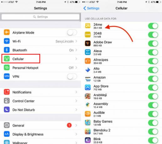 Comment suivre l'utilisation des données pour les applications iOS individuelles CellDataiOS1 562x500