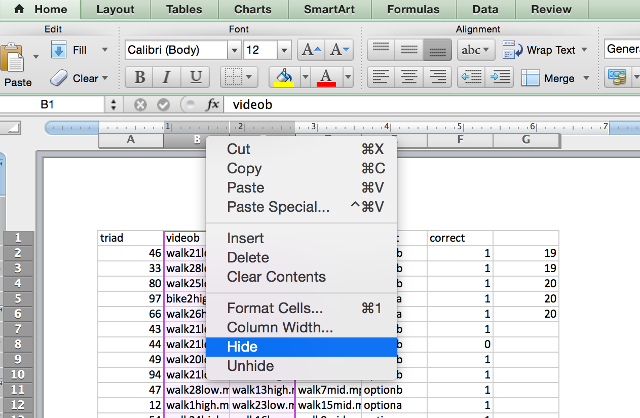 excel-hide-colonnes