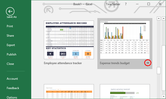 excel-pin-template