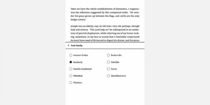Capture d'écran du menu Amazon Kindle Font Family