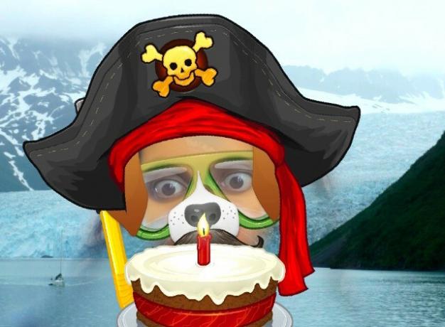 chien-pirate