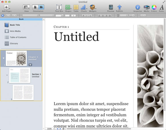 page auteur ibooks