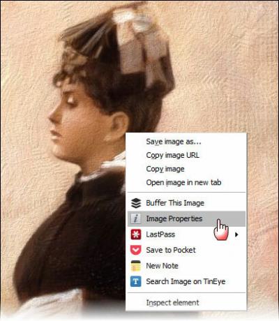 propriétés de l'image, extension de chrome