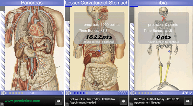 éducatif-android-apps-speed-anatomy-quiz