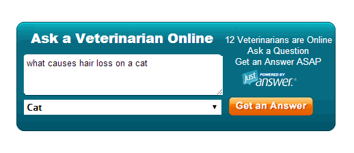 petmd-demander-à-un-vétérinaire en ligne