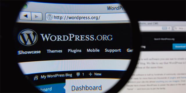 WordPress-framework-what-are-they