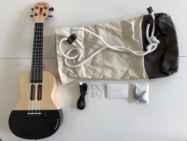 le kit populele complet avec ukulele picks cordes capo et étui