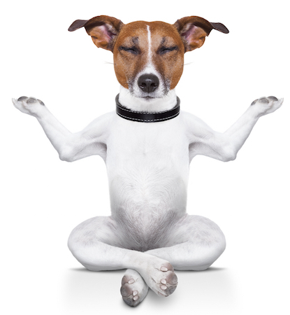 8 minuscules réglages pour une expérience de navigateur minimaliste instantanée meditatingdog