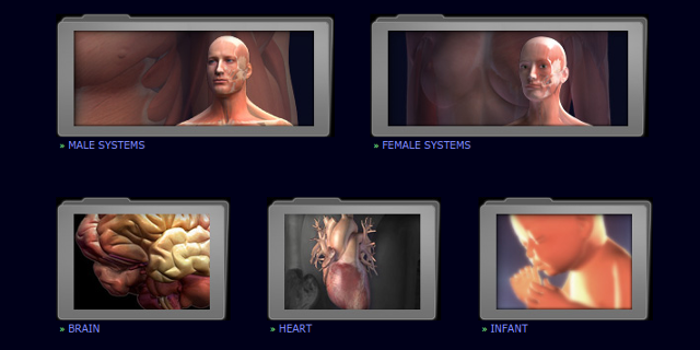 Modèles-d'anatomie-3d-3dscience