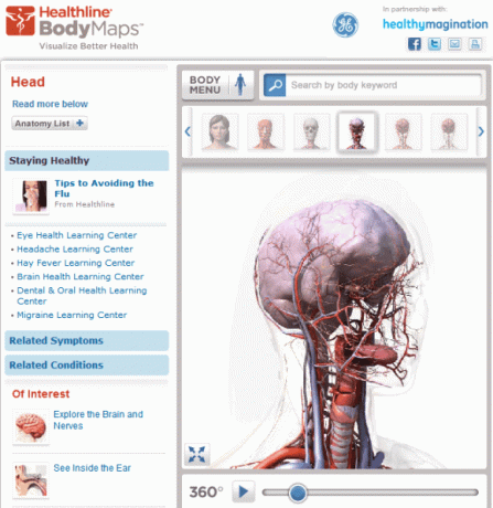 3d corps humain en ligne