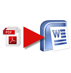 Comment convertir un fichier PDF en un document Word avec AnyBizSoft PDF to Word Converter AnyBizSoft08 Thumb