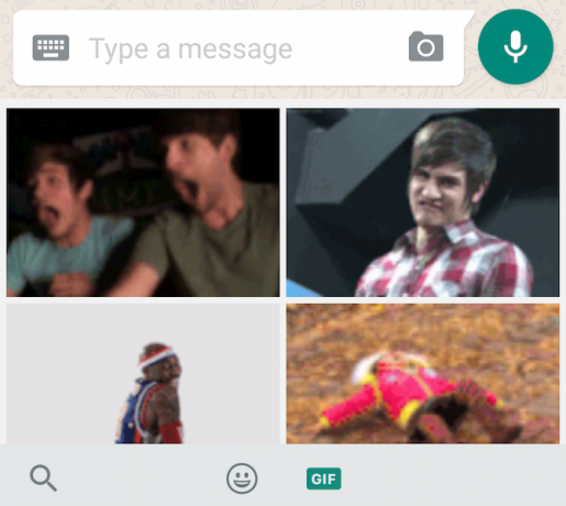 Nouvelle fonctionnalité WhatsApp: recherche GIF