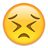 endurance persévérance emoji émoticône