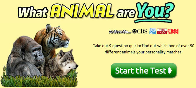 quiz sur la personnalité animale