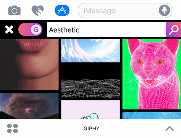 giphy imessage