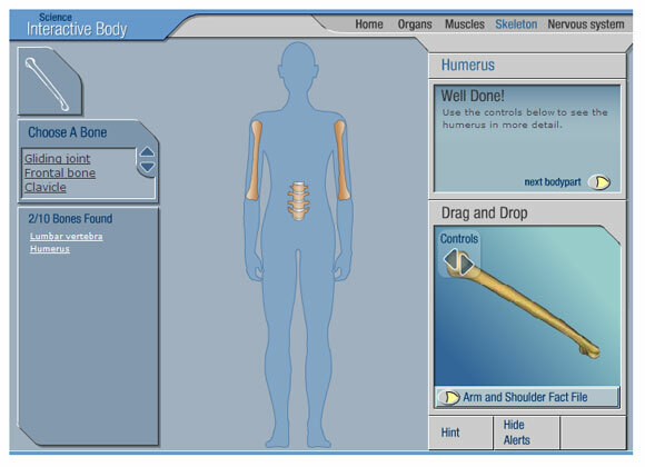 anatomie interactive gratuite