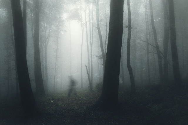 fantôme en forêt