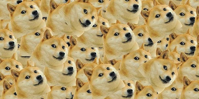 utilisateurs de la communauté dogecoin