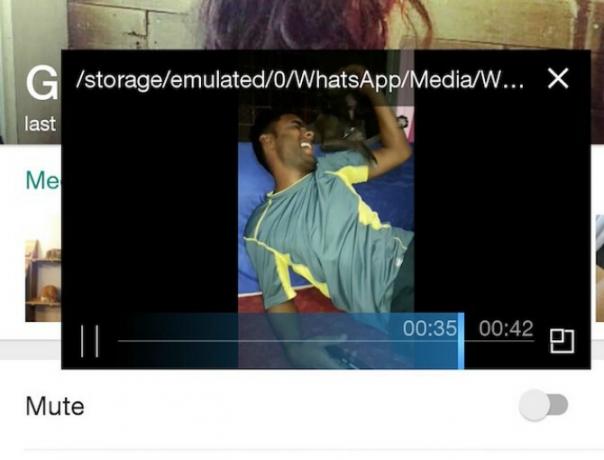 WhatsApp Video Popout Zoom