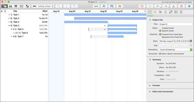 Graphique OmniPlan 3 sur Mac Gantt