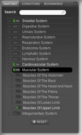 anatomie du corps humain