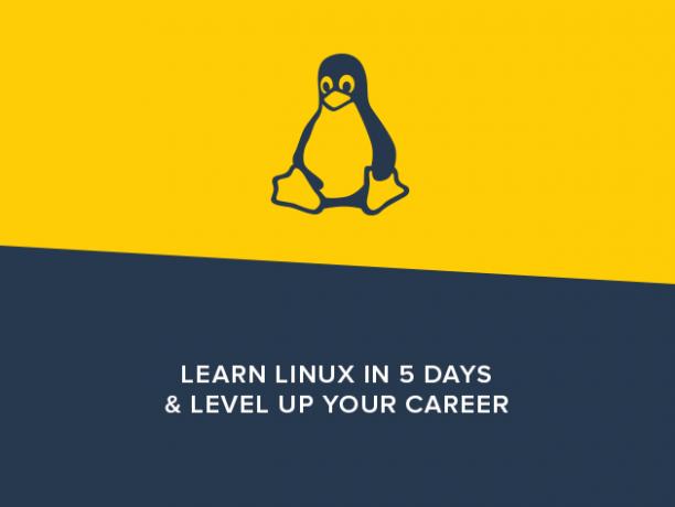 5 cours pour vous aider à maîtriser Linux et la carrière de Linux en ligne de commande