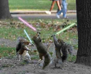 5 sites pour les jeux Star Wars gratuits en ligne squirrellightsaber