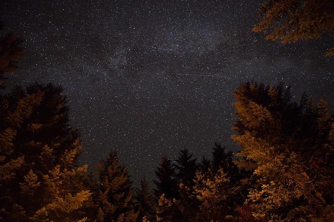 Ciel nocturne avec des arbres