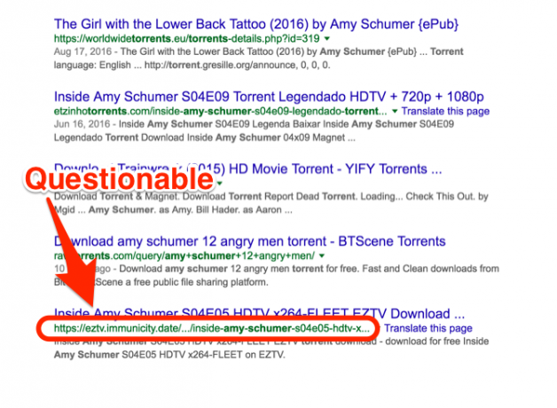 URL de Torrent Amy Schumer