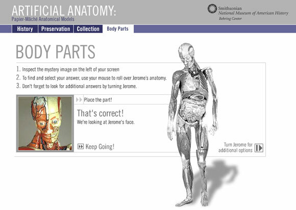 anatomie interactive