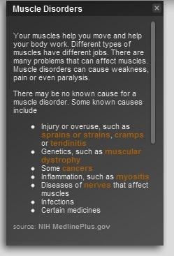 anatomie du corps humain