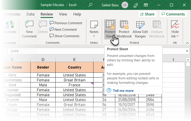 Cliquez sur Protéger la feuille dans Excel