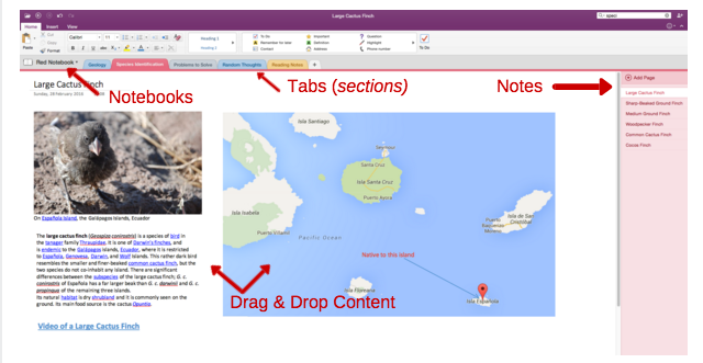 Organisation OneNote