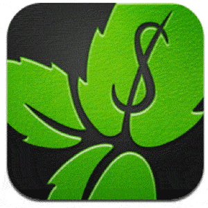 menthe pour ipad