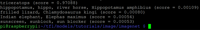 Sortie de classification des dinosaures TensorFlow