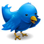 9 sites utiles pour trouver des personnes à suivre sur Twitter twitterbird