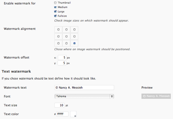 4 plugins indispensables lors de l'utilisation de WordPress comme filigrane de portefeuille1