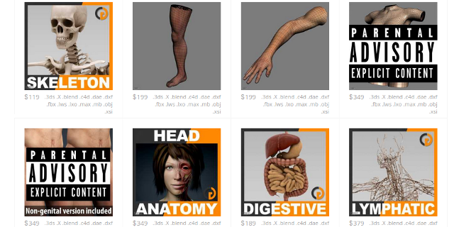 Modèles-d'anatomie-cgstudio