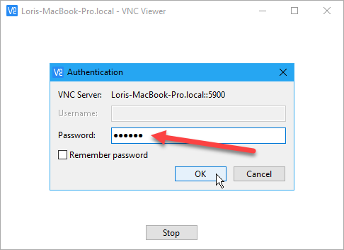 installer les fenêtres de la visionneuse realvnc