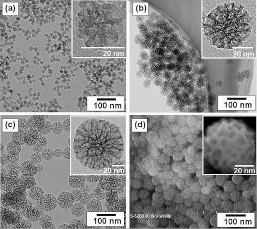 googlepill-nano-particules