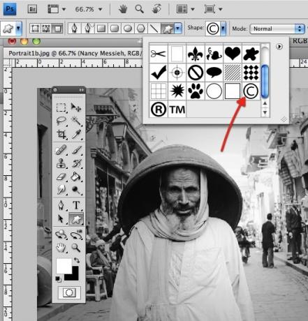 images en filigrane photoshop gratuit