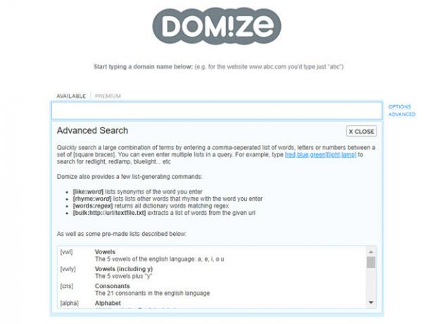 Domize site de recherche de noms de domaine