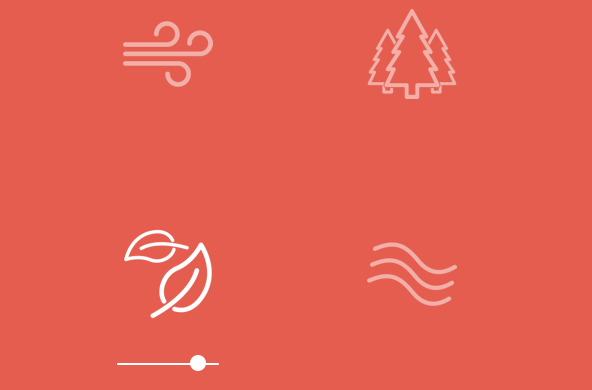 boutons noisli