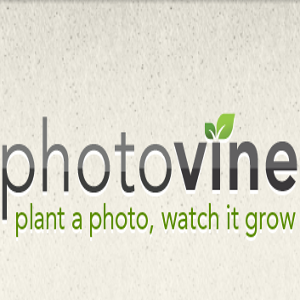 google photovine