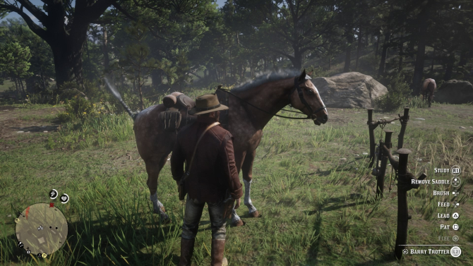 red dead redemption 2 cheval bonding